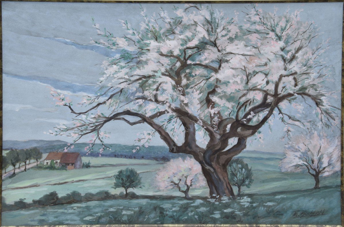 Théodore BUCHHOLD "Les arbres en fleurs" gouache 33x45-photo-4